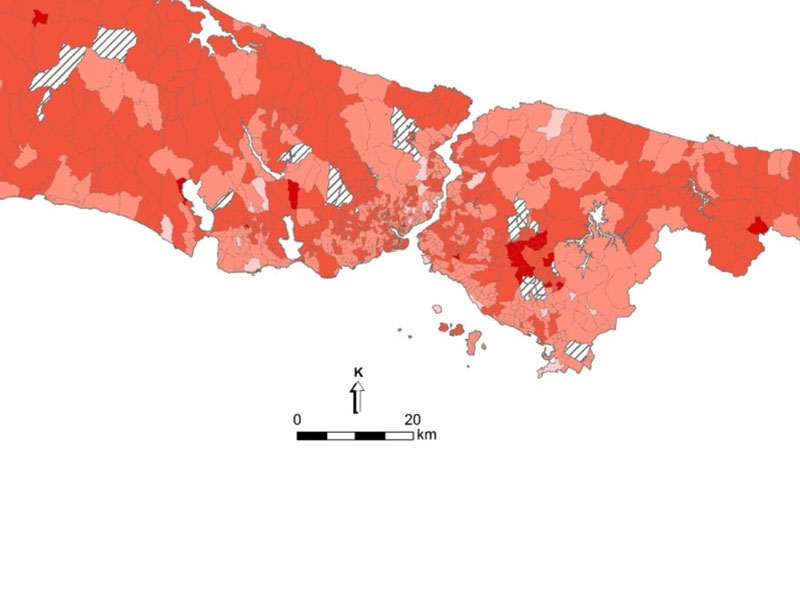 İstanbul İli Genelinde Afetler Karşısında Sosyal Hasar Görebilirlik Araştırması